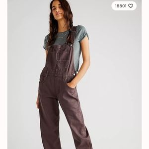 NWT We the Free Ziggy Denim Overall in Chocolate Size Small